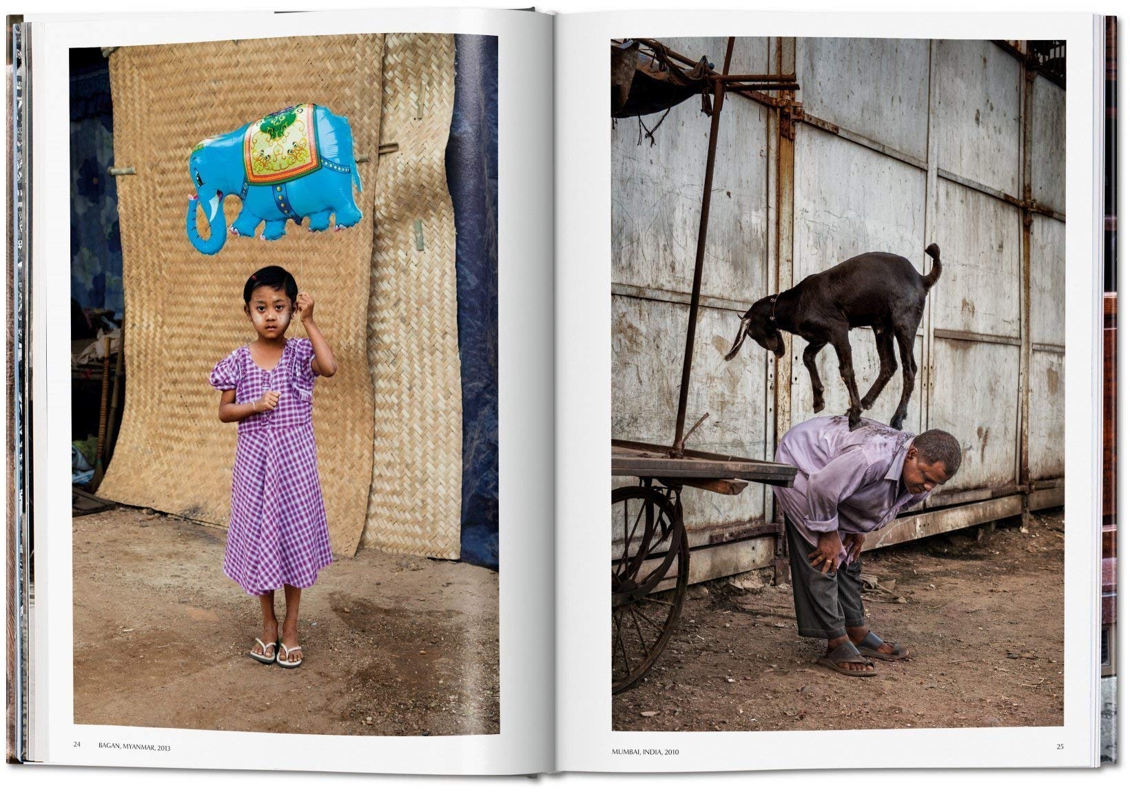 books 01 2020 FotoBook StevMcCurry Animals 1